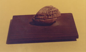 Picture of Cuneiform Tablet