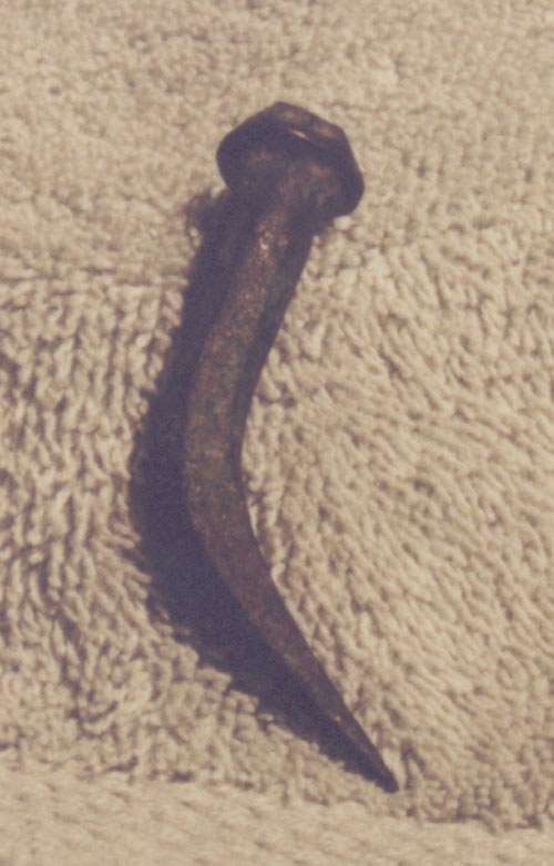Picture of Roman Nail