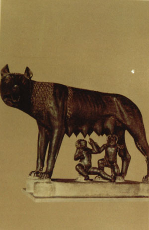 Picture of Romulus and Remus Being Suckled by a Wolf