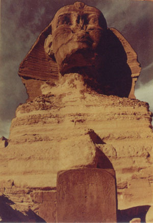 Picture of Sphinx